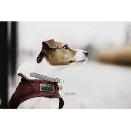 Kentucky Hundejacke Hundemantel Schwarz 28-33 cm