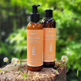 fitomed Haarshampoo für helles Haar 250 ml
