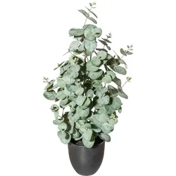 CREATIV green künstliche Pflanze Eukalyptus, ca 60cm, 2er Set