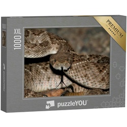 puzzleYOU Puzzle Puzzle 1000 Teile XXL „Aufgerichtete Mojave-Klapperschlange“, 1000 Puzzleteile, puzzleYOU-Kollektionen Schlangen, Tiere in Dschungel & Regenwald