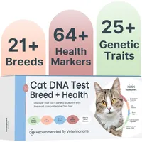 Basepaws Katzen-DNA-Test | Rasse + Gesundheit + Zahnbericht | Top-Katzenrassen & 114 Gesundheits- und Merkmalsmarker | Bekannt aus dem Shark Tank