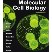 Macmillan Learning Molecular Cell Biology