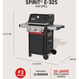 Weber Spirit E-325 GBS schwarz 1500895