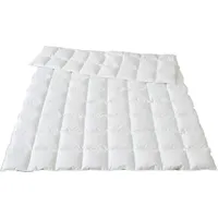 Traumina Plume Bio Daune Einziehdecke WK2 - 155x220cm