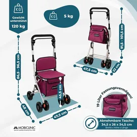 Mobiclinic Einkaufswagen mit Sitz Pink 21 L