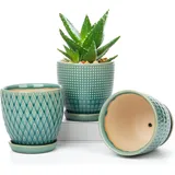 ‎oairse Oairse Blumentopf Keramik Pflanztöpfe 3 Set runde, Succulent Topf, Pflanzen