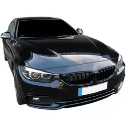 JOM Kühlergrill BMW,ALPINA 5211054JOE Kühlergitter