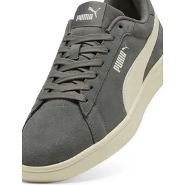 Puma Smash 3.0 Herren Cool Dark Gray/Warm White 42,5