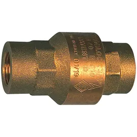 Riegler Rückschlagventil, voller Durchgang, Messing, Rp 1 1/4, 20-50 mbar
