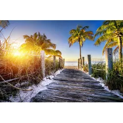 Fototapete PAPERMOON "Strand mit Palmen", bunt, B:4,50m L:2,80m, Vlies, Tapeten
