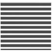 vidaXL Doppelrollo 165 x 100 cm Zebra schwarz