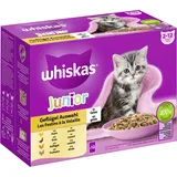 Whiskas Junior Geflügel Auswahl in Gelee 96 x 85 g