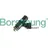 Borsehung Einspritzventil b11159