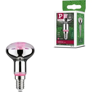 Paulmann LED-Pflanzenlampe Wachstum 230V E14 4W Bernstein 1St.