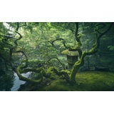 Papermoon Fototapete »Photo-Art JAVIER DE LA, Japanischer Baum bunt