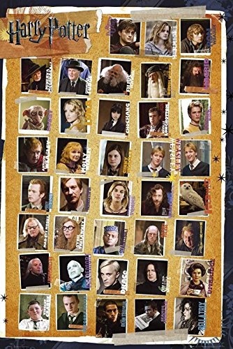 Close Up Harry Potter und die Heiligtümer des Todes Poster (61cm x 91,5cm) + Ü-Poster