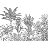 KOMAR Vliestapete, Schwarz, Weiß, Sträucher, 350x250 cm x 250 cm