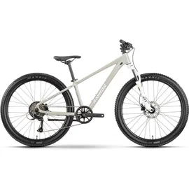 R Raymon Nayta Pro 26 Zoll RH 0 cm grau