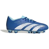 adidas Predator Accuracy.4 FG Herren Bright Royal/FTWR White 42 2/3