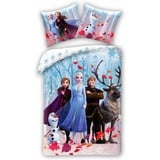 Disney Frozen Bettwäsche Disney Frozen Bettwäsche Eiskönigin Anna Elsa Snow Kopfkissen Bettdeck, Renforcé, 2 teilig, 100% Baumwolle bunt