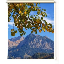Rollo Rollo Herbst in den Bergen – Sommerrollo – klemmen oder schrauben, gardinen-for-life, Klemmfix 45 cm x 160 cm