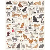 Sonstige Verlage Ridley's Games JIG055 Cat Lover's 1000 Piece Jigsaw Puzzle, Multicoloured