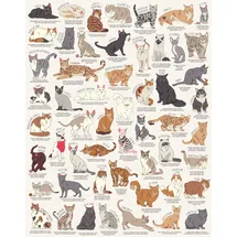 Sonstige Verlage Ridley's Games JIG055 Cat Lover's 1000 Piece Jigsaw Puzzle, Multicoloured