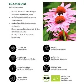Dehner Bio Stauden-Set 12-teilig, Rosa, Weiß