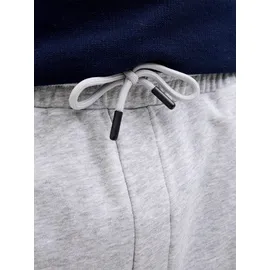 JACK & JONES JPSTBRADLEY Sweat Shorts SN GMS