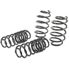 Eibach E10-35-020-01-22