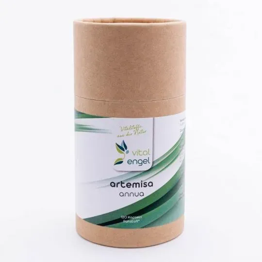 Artemisia annua Kapseln (120 Stück) in ökol. Verpackung - Vital Engel