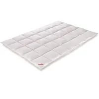Paradies Galia 100 155x220cm
