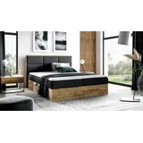 Fun Möbel Boxspringbett Schlafzimmerbett BARTEL 200x200cm Stoff Schwarz inkl. Bettkasten - Schwarz