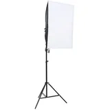 vidaXL Professionelle Studioleuchten 2 Stk. 40x60 cm