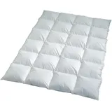 Häussling Daunendecke City Comfort multi high extra warm, Füllung: 90% Daunen, 10% Federn 155x220 cm