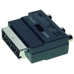 ROTRONIC-SECOMP Video- / Audio-Adapter - SCART (M)