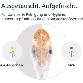Philips A3 Premium All-in-One Aufsteckbürsten 4 St.
