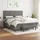 vidaXL Boxspringbett mit Matratze Dunkelgrau 160x200 cm Stoff - Grau