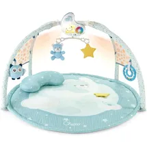 Chicco Chicco, Farbspiel Gym