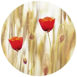 K&L Wall Art Vliestapete »Runde Vliestapete«, MohnBlumen Mohn Blumen, mehrfarbig, matt - bunt