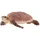 Schleich Wild Life Echte Karettschildkröte 14876