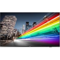 Philips Professional TV BFL2214