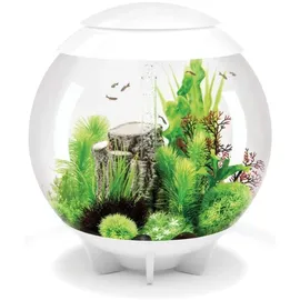 biOrb HALO 60 MCR weiß