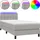 vidaXL Boxspringbett 100 x 200 cm Hellgrau