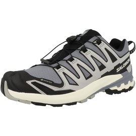 Salomon »XA PRO 3D V9 GORE-TEX«, wasserdicht Salomon grau