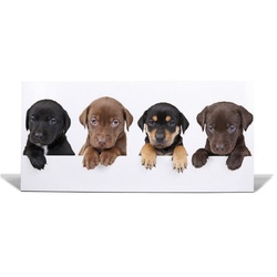 banjado Magnettafel Stahl Puppies, (inkl. 4 Magnete, Stahlmagnettafel) weiß 37 cm x 78 cm x 2 cm