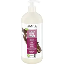 Sante Glanz Shampoo Bio-Birkenblatt & Pflanzliches Protein 950 ml