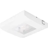 CEAG Notlichtsysteme LED-Einzelbatterie-Leuchte 13812 1-8/D CGLine+