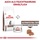Royal Canin Gastrointestinal Kitten 2 kg