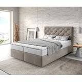 DeLife Boxspringbett Dream-Great Mikrofaser Beige 140x200 cm mit Matratze und Topper